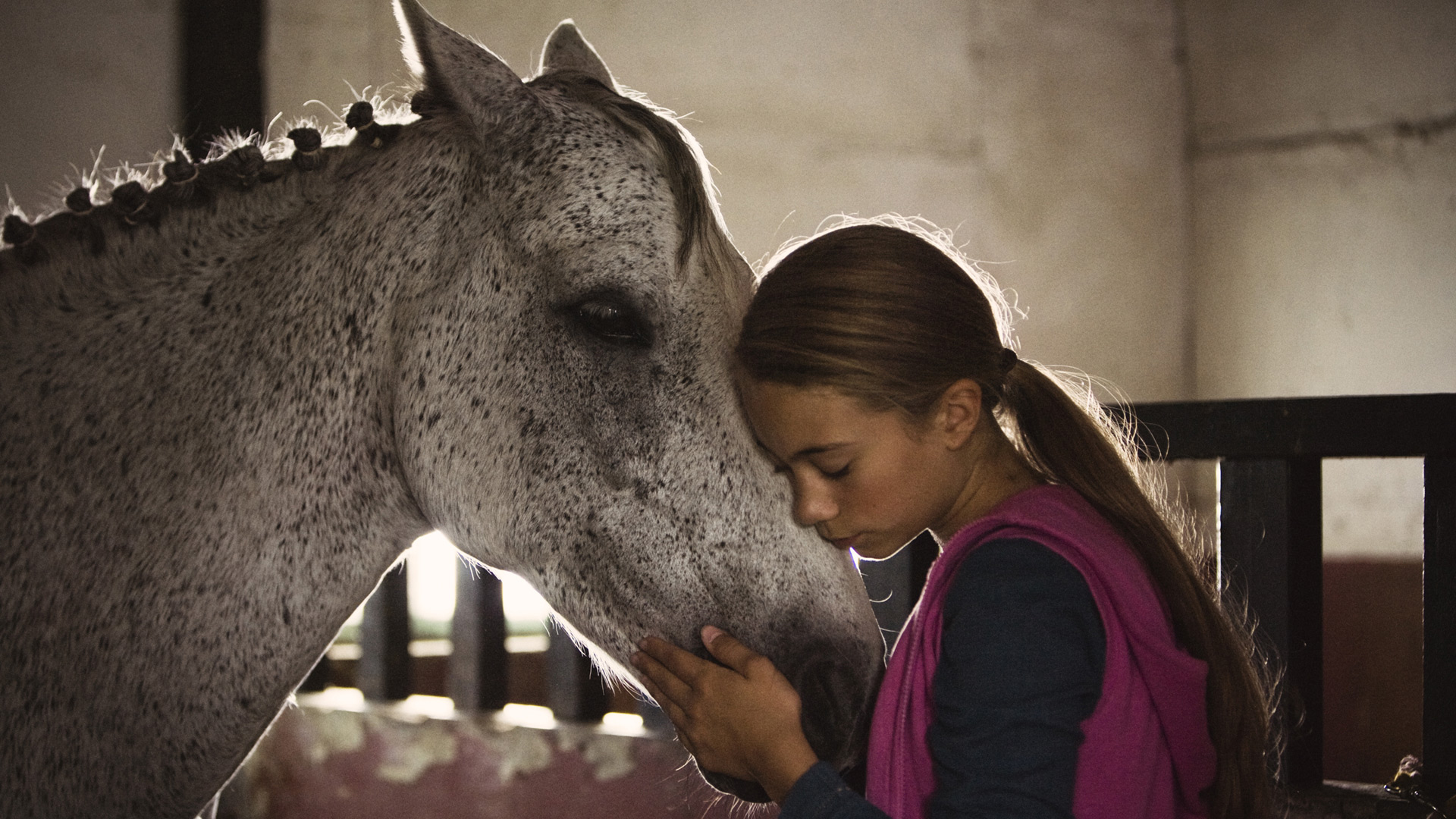 Ein Pferd für Klara MFA+ Filmdistribution